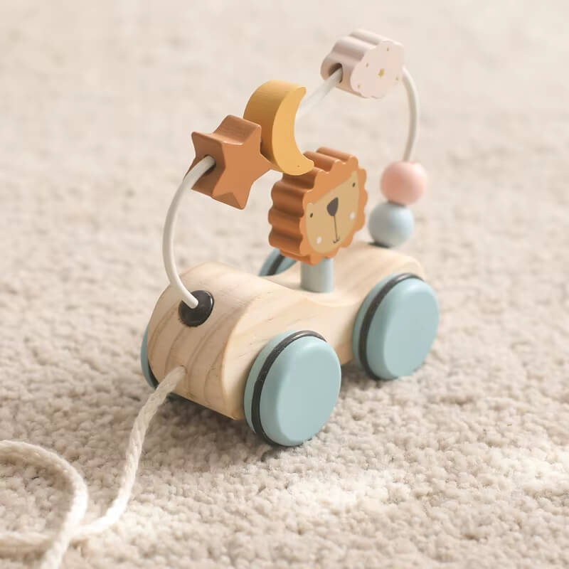 Montessori Roaring Roller