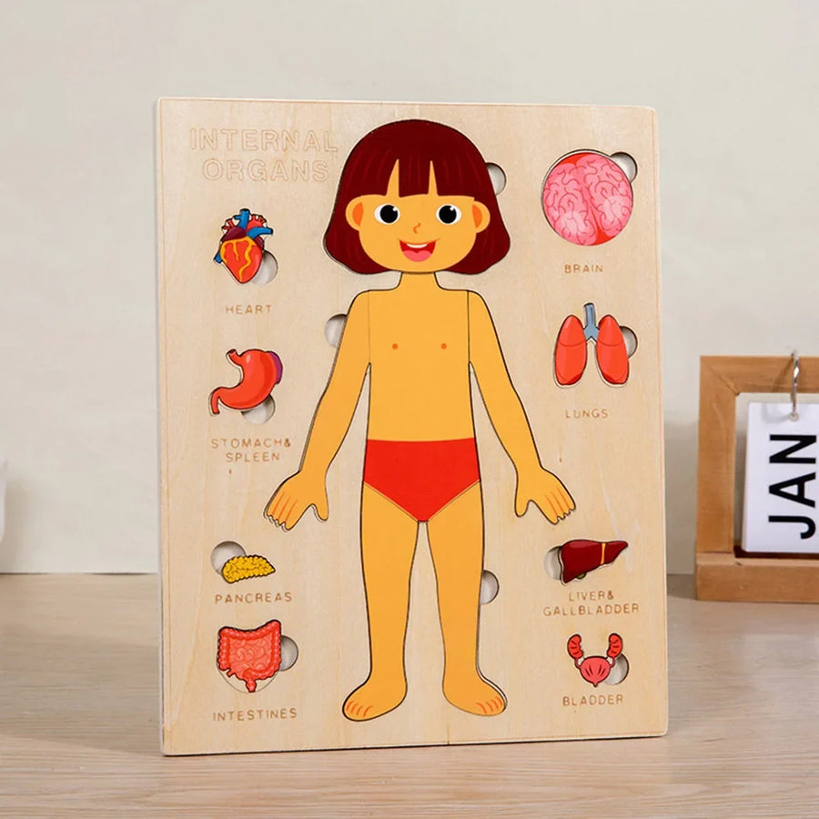 Montessori Human Body Jigsaw Puzzle