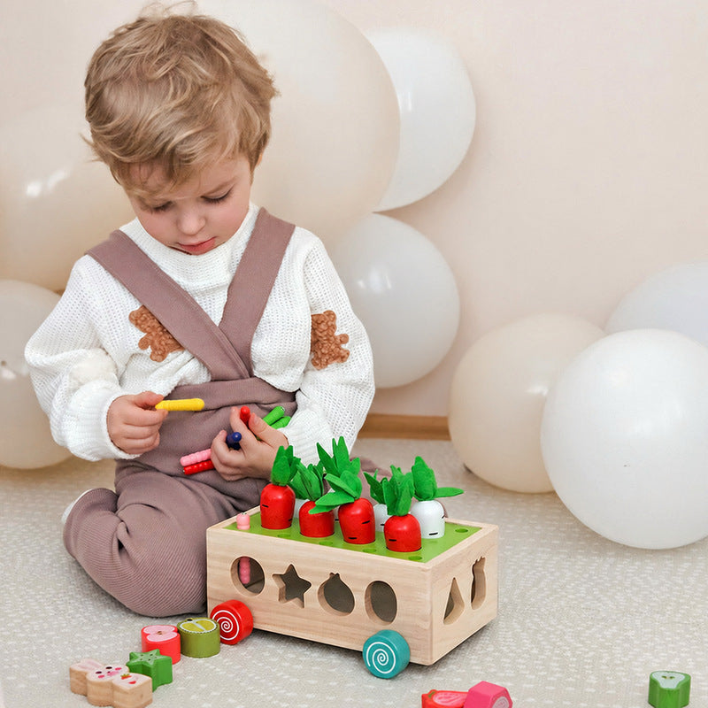 Montessori Carrot Wheels