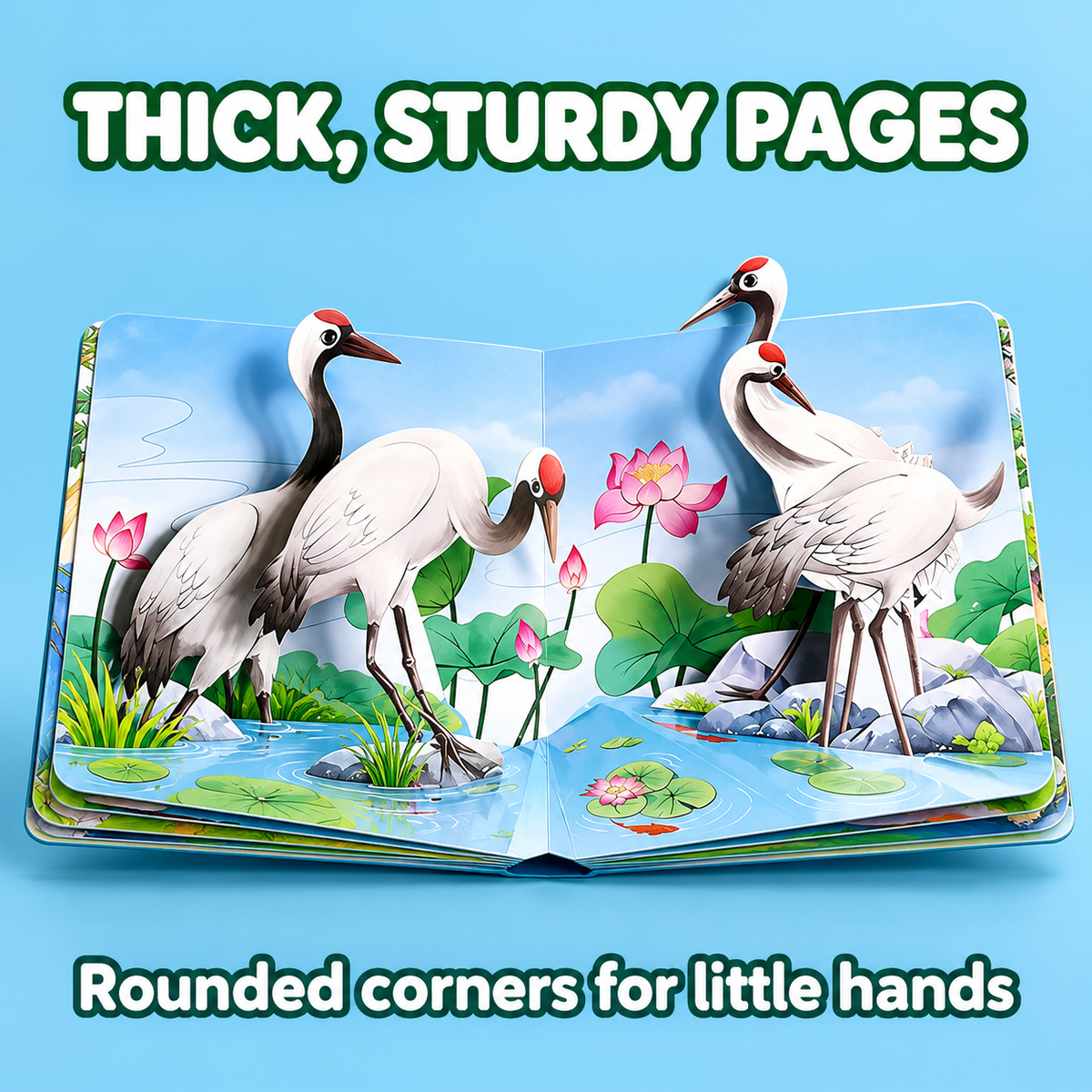 Thick sturdy pages of the 3D pop-up book with cranes