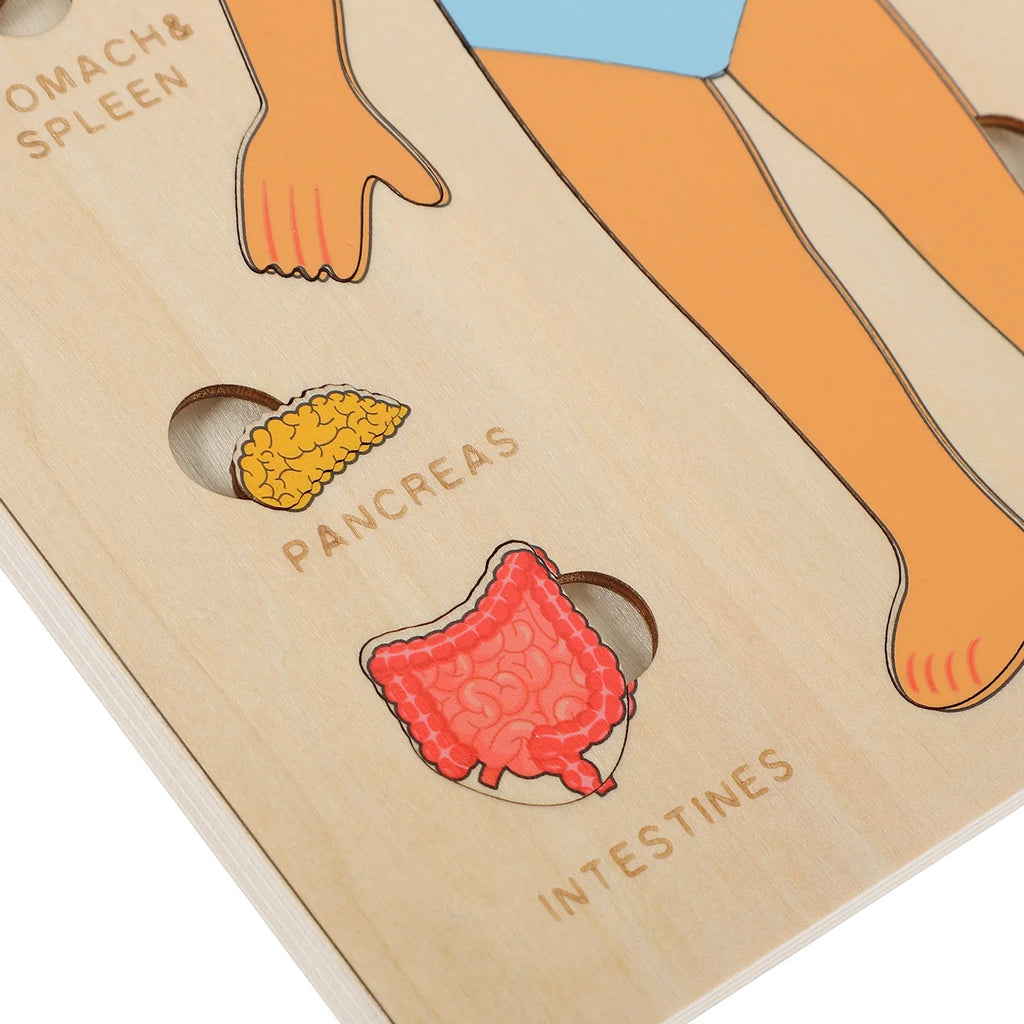 Montessori Human Body Jigsaw Puzzle