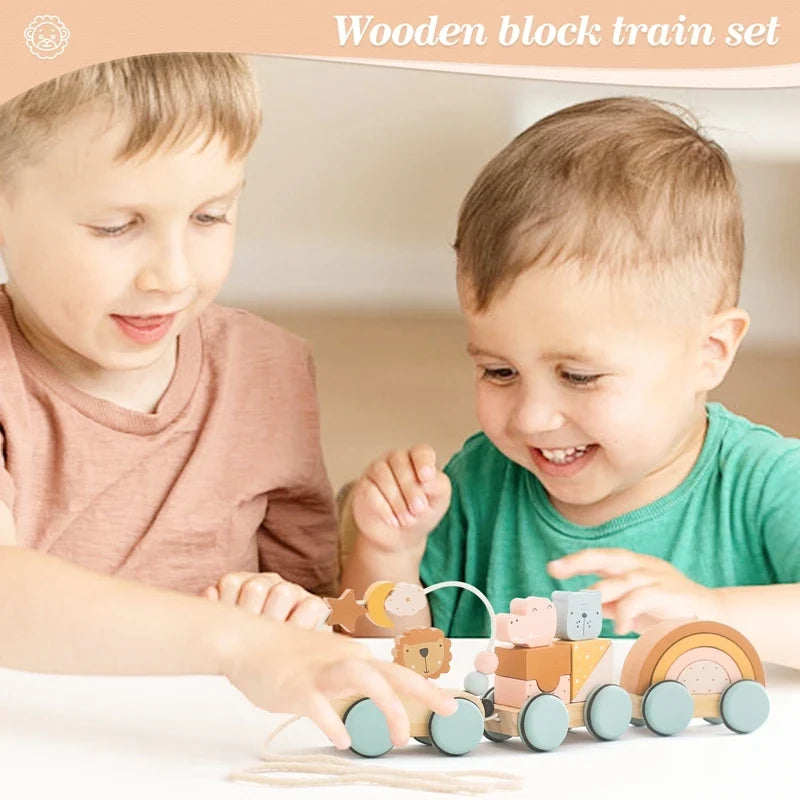 Montessori Wooden Baby Dragging Car