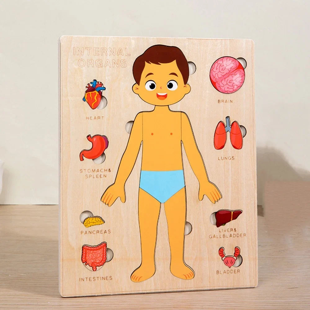 Montessori Human Body Jigsaw Puzzle