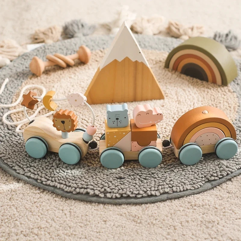 Montessori Wooden Baby Dragging Car