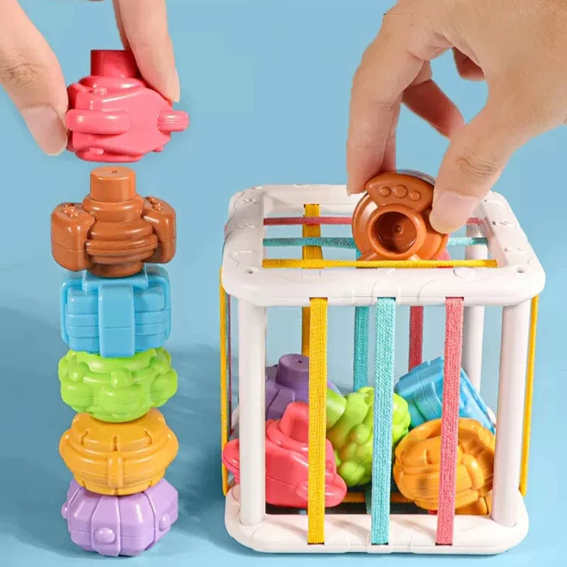 Montessori Colorful Shape Blocks Sorting Game