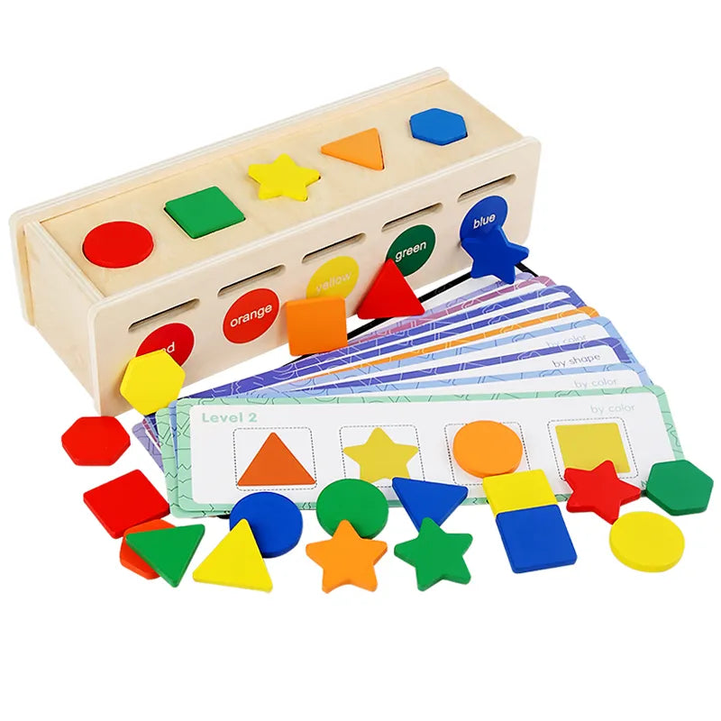 Color & Shape Sorter Toy
