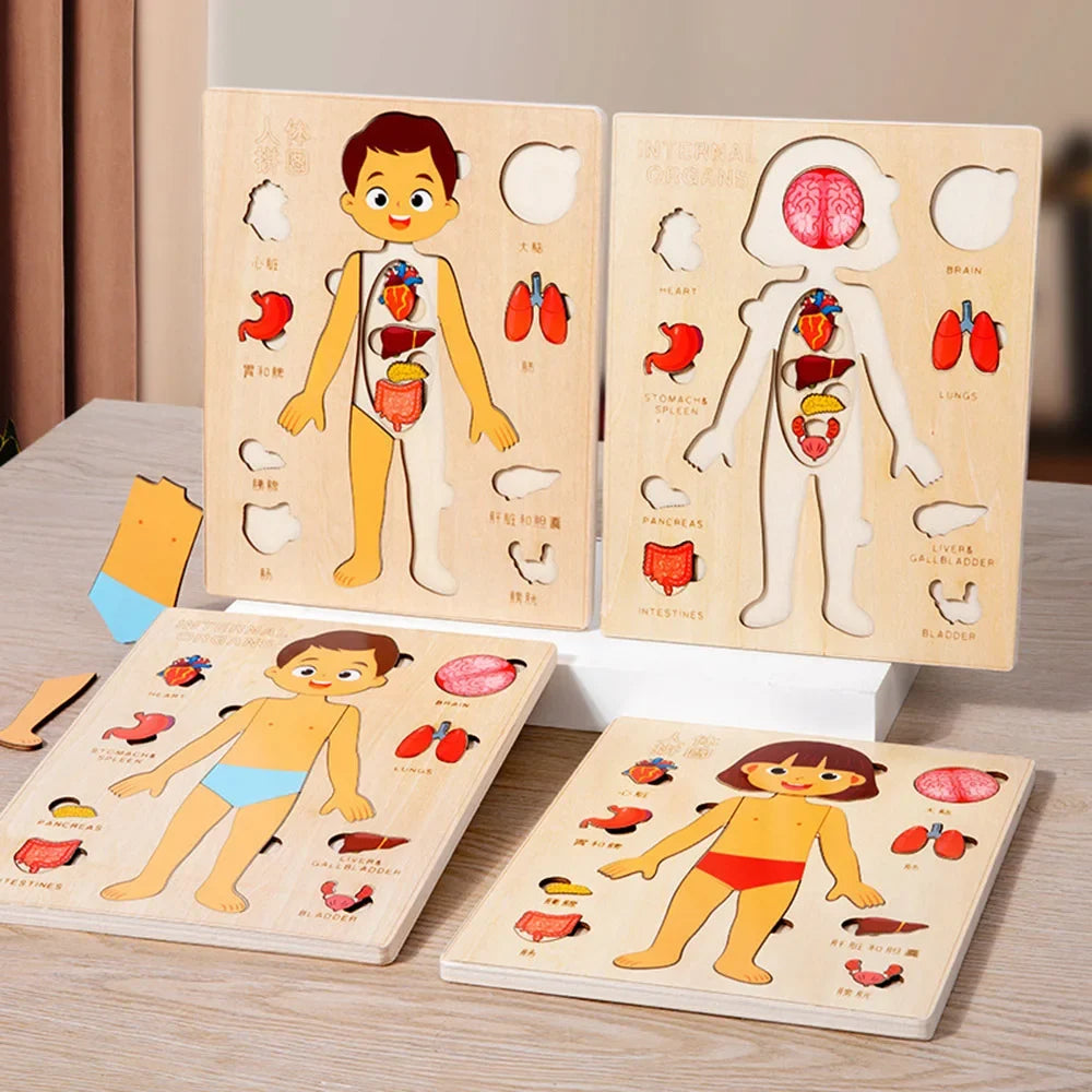 Montessori Human Body Jigsaw Puzzle