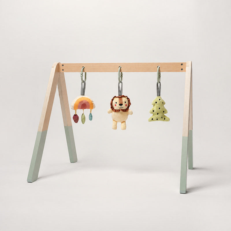 Montessori Play Gym