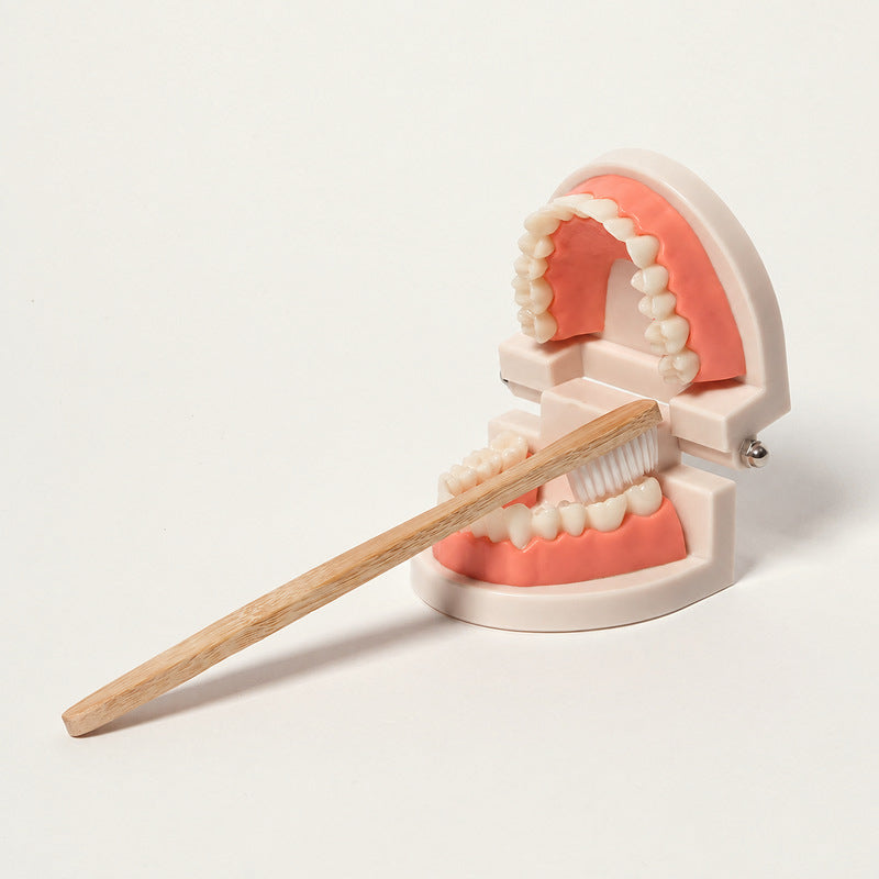 Montessori Brushing Teeth
