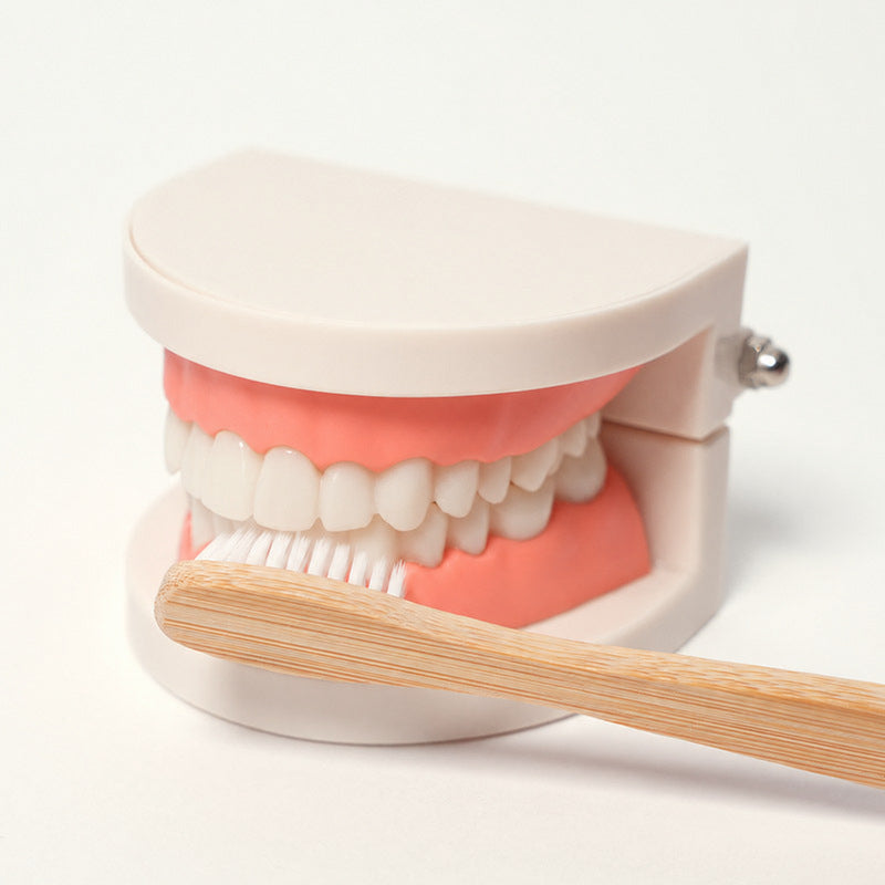 Montessori Brushing Teeth