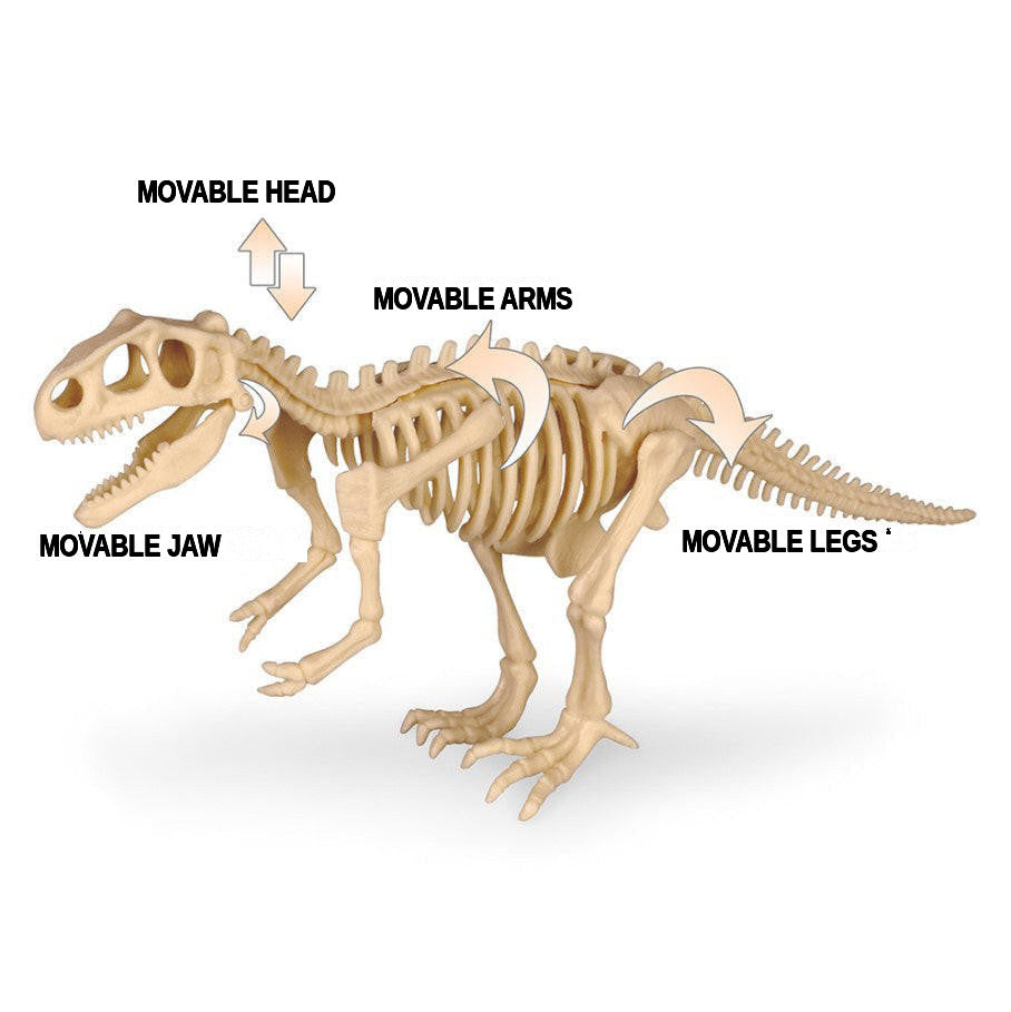 Dinosaur Excavation Kit with Fossil Dig Tools - view 7