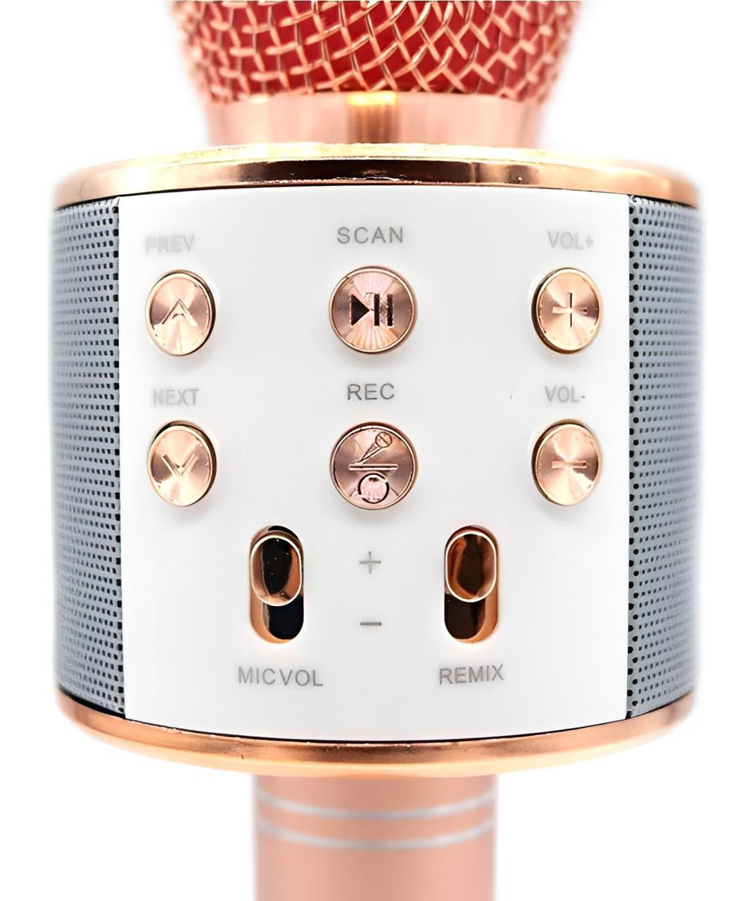 Wireless Karaoke Microphone with Bluetooth Speaker - view 8