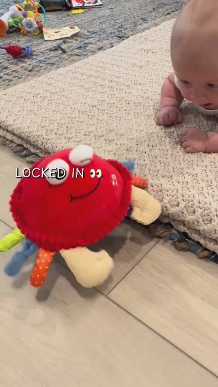 A baby locked in on the red crab plush during tummy time