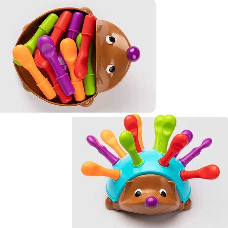 Hedgehog Educational Toy