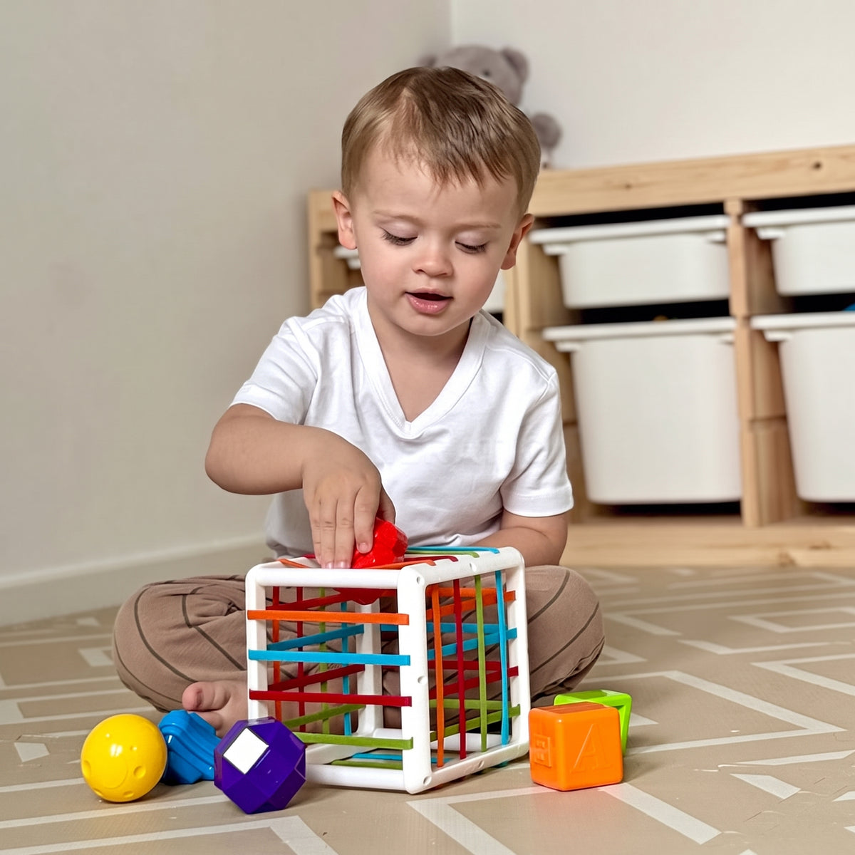 Montessori Shape Blocks