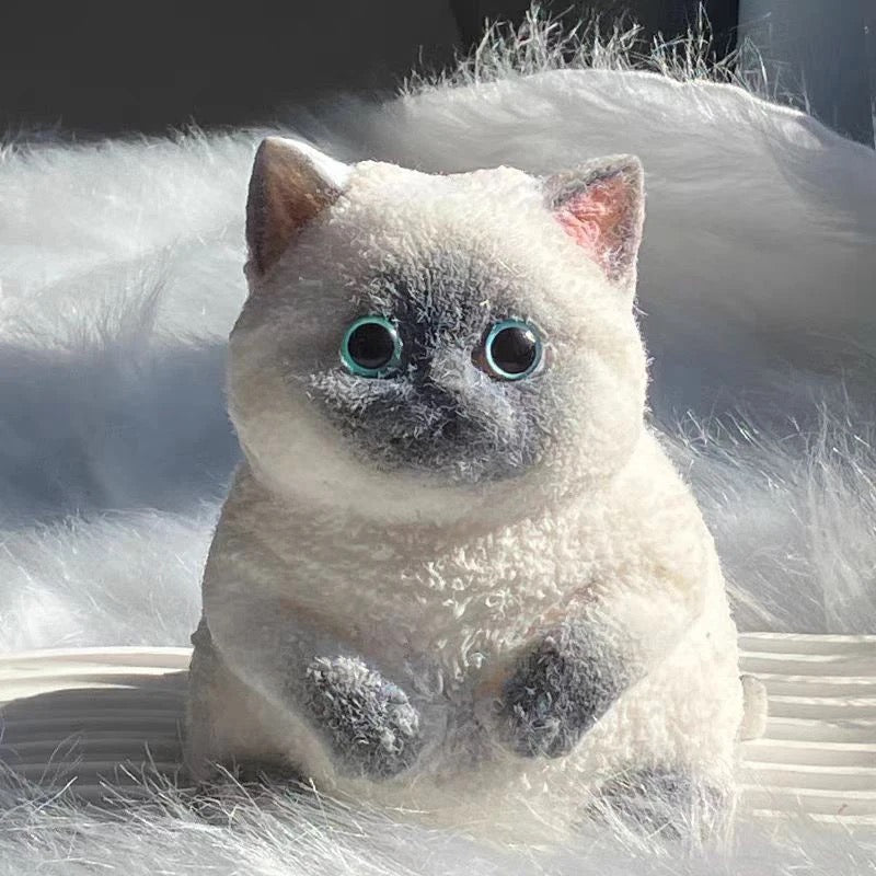 Taba cat squishy, Siamese Blue Eyes