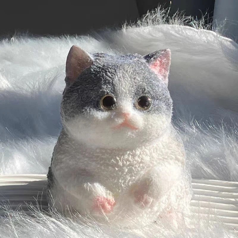 Taba cat squishy, Grey Tabby