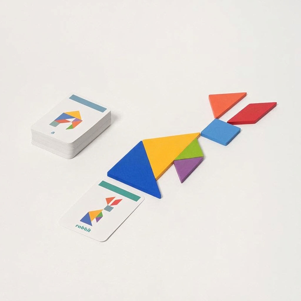 Montessori Sorting Puzzle