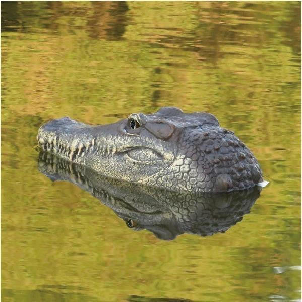 Remote Control Crocodile Head for Pool and Pond - view 3