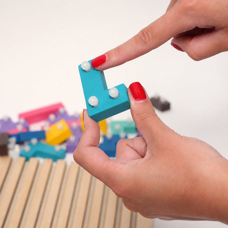 Montessori Brain Blocks