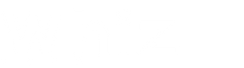 Whiz Toys