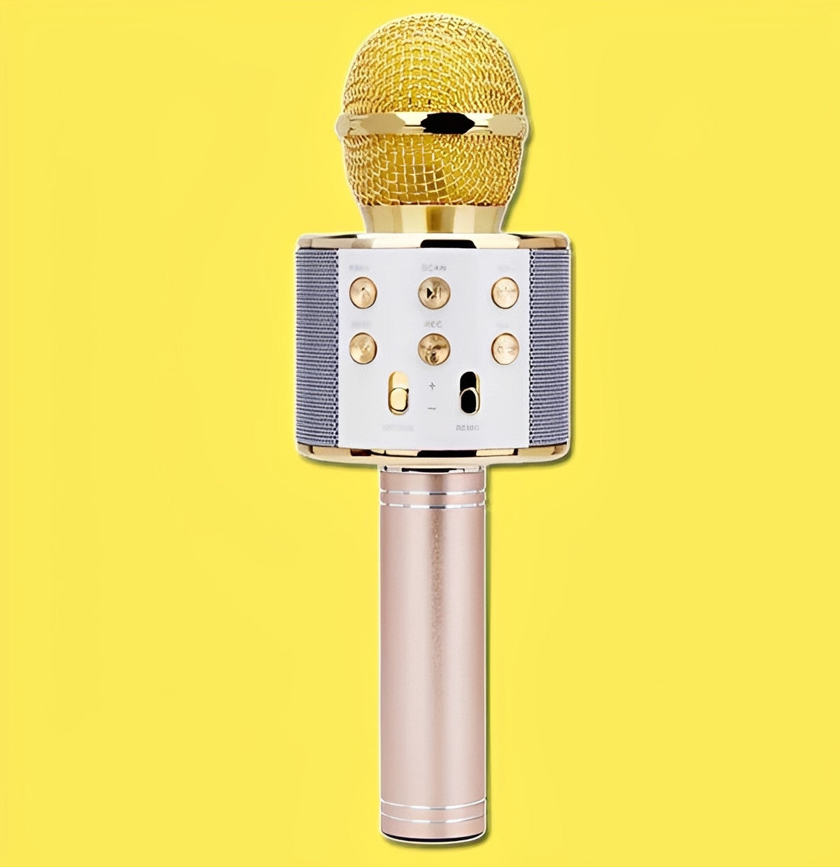 Wireless Karaoke Microphone with Bluetooth Speaker, Gold