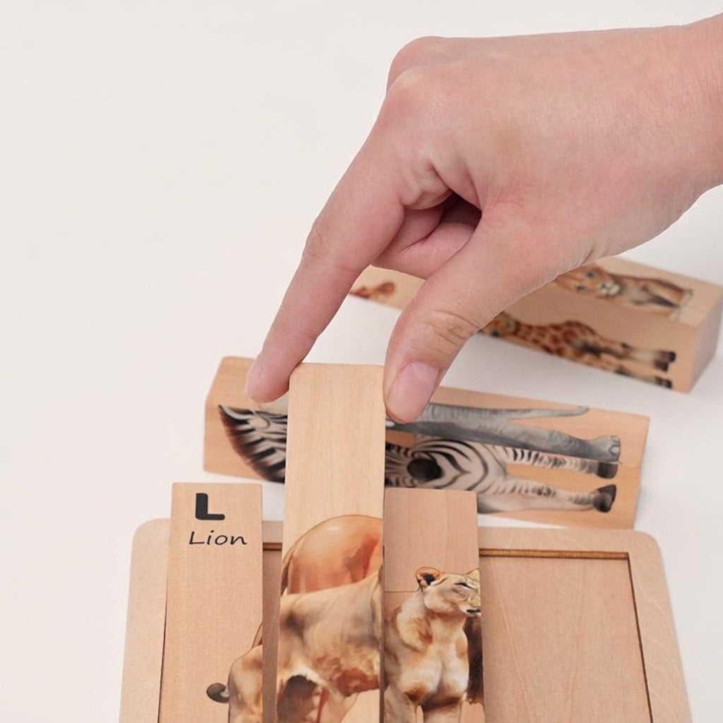 Montessori Twist and Match Puzzle