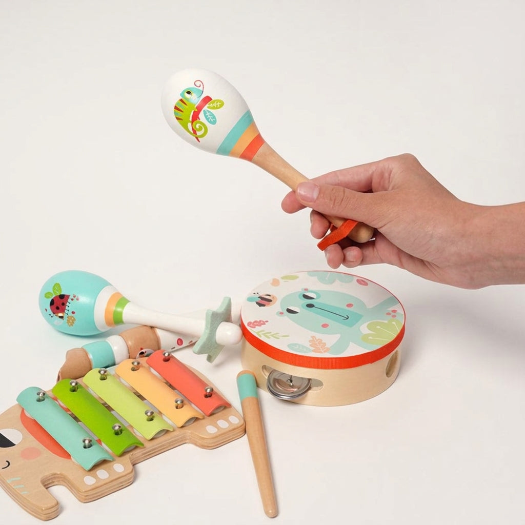 Montessori Music Set