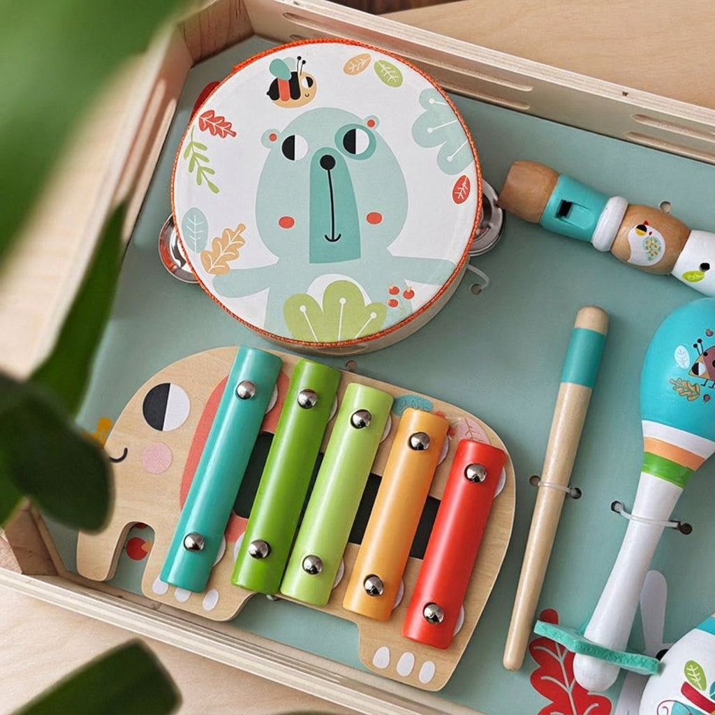 Montessori Music Set