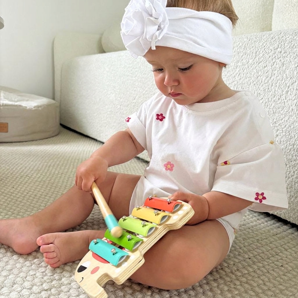 Montessori Music Set