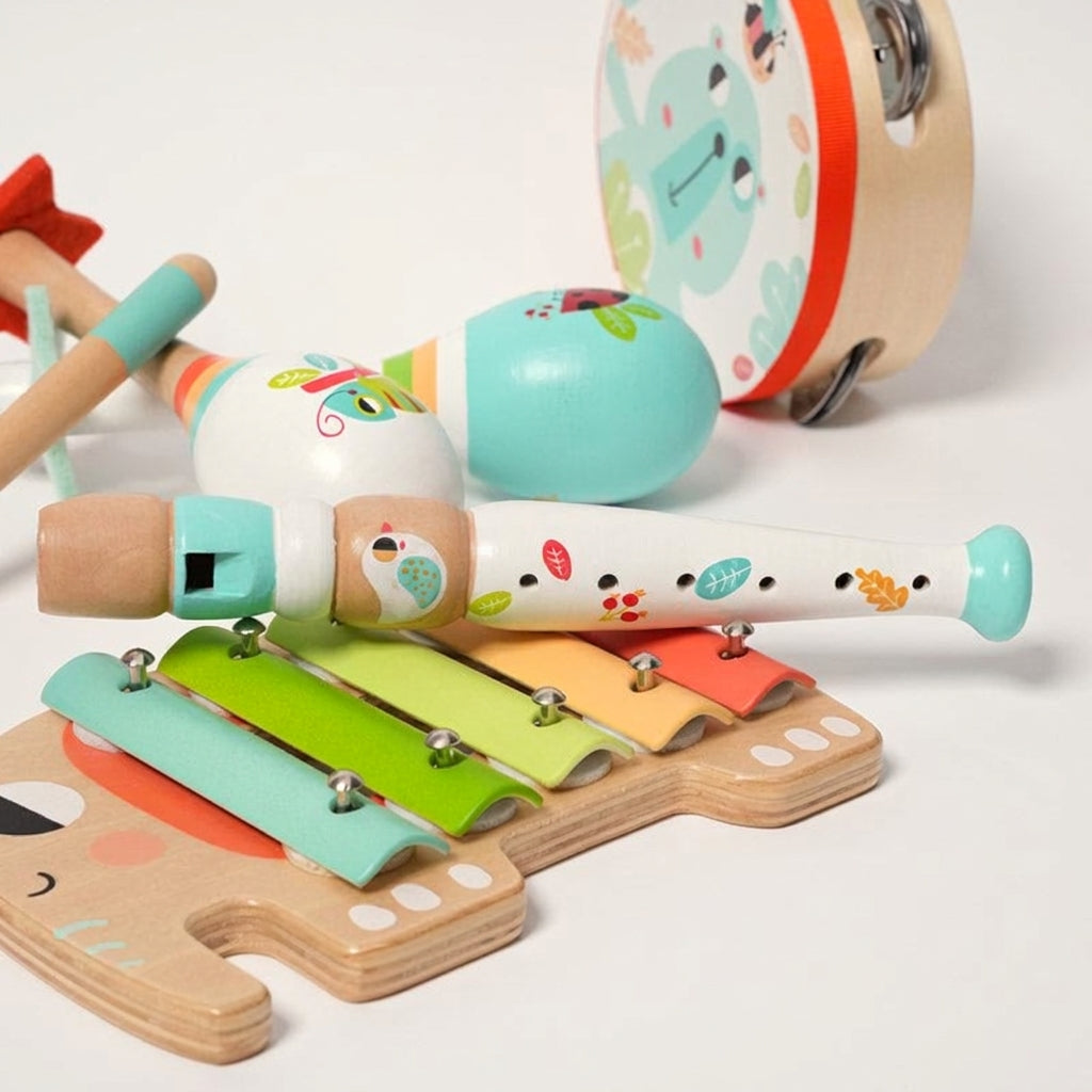 Montessori Music Set