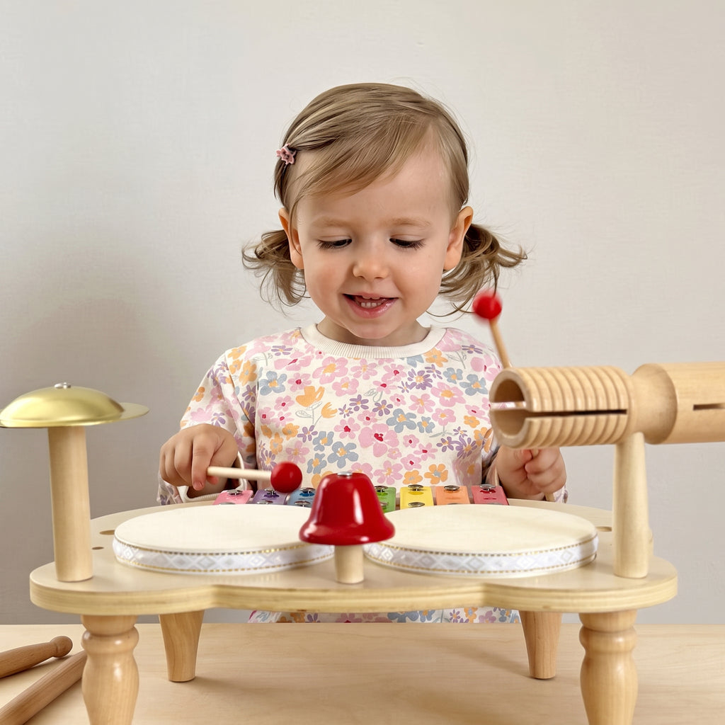 Montessori Percussion Set