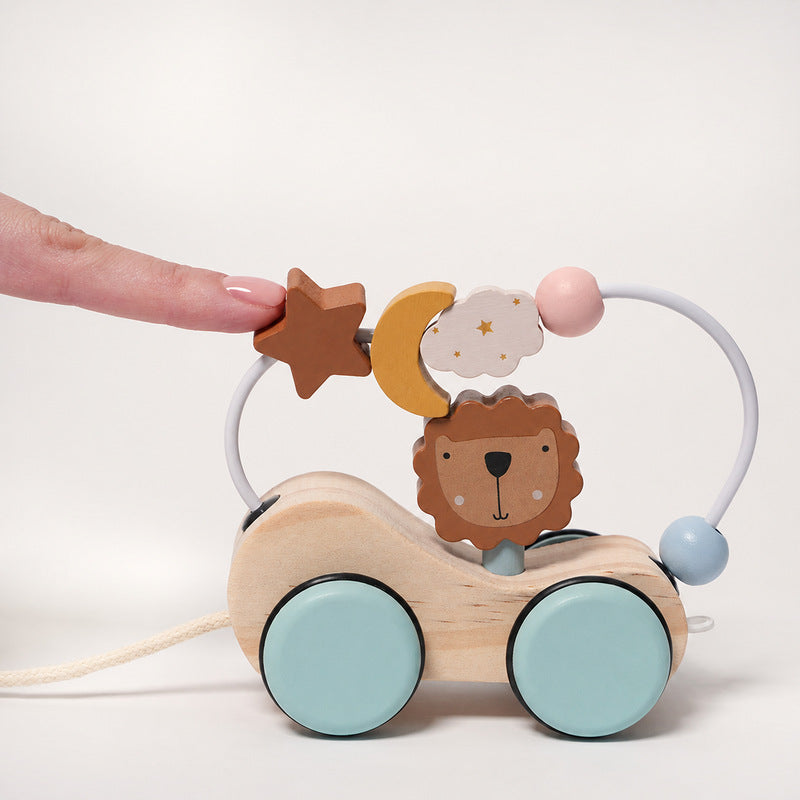 Montessori Roaring Roller