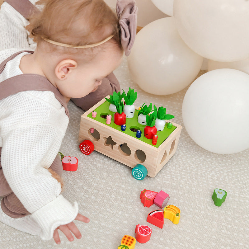 Montessori Carrot Wheels