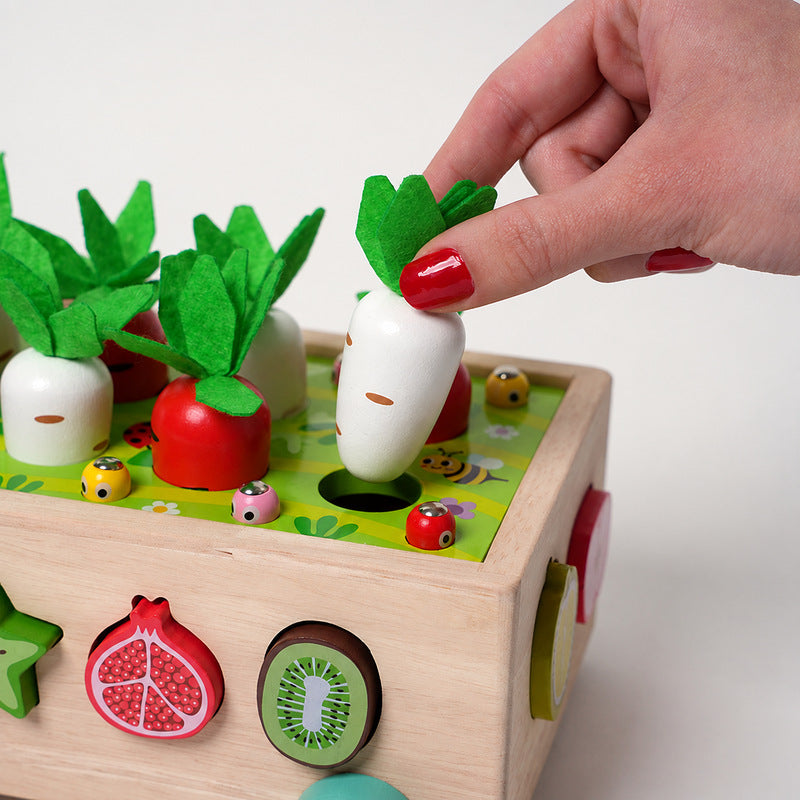Montessori Carrot Wheels