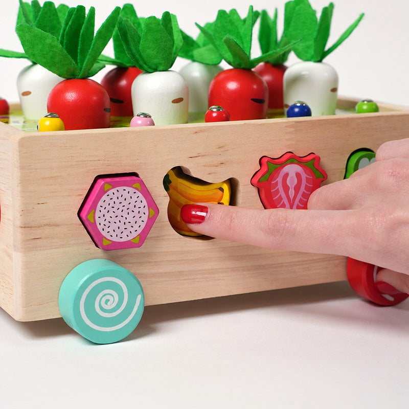 Montessori Carrot Wheels
