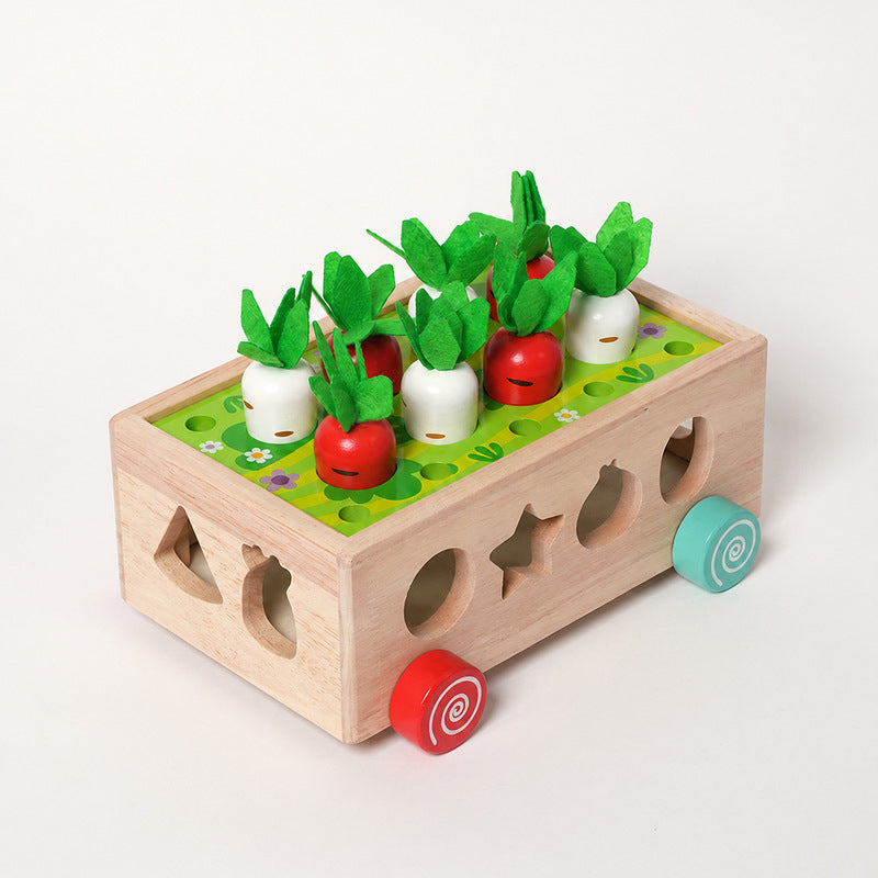 Montessori Carrot Wheels
