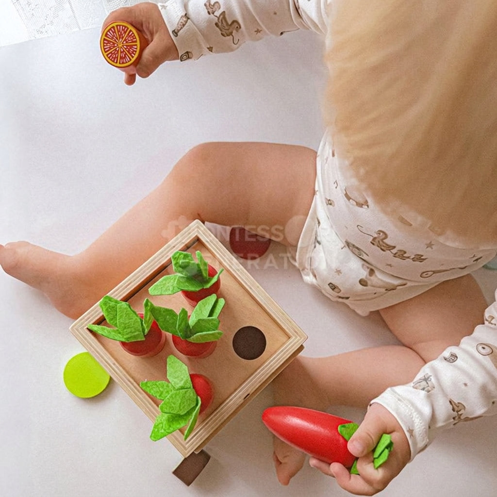 Montessori 6-in-1 Sorting Tool